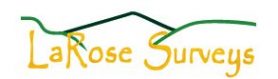Larose Surveys